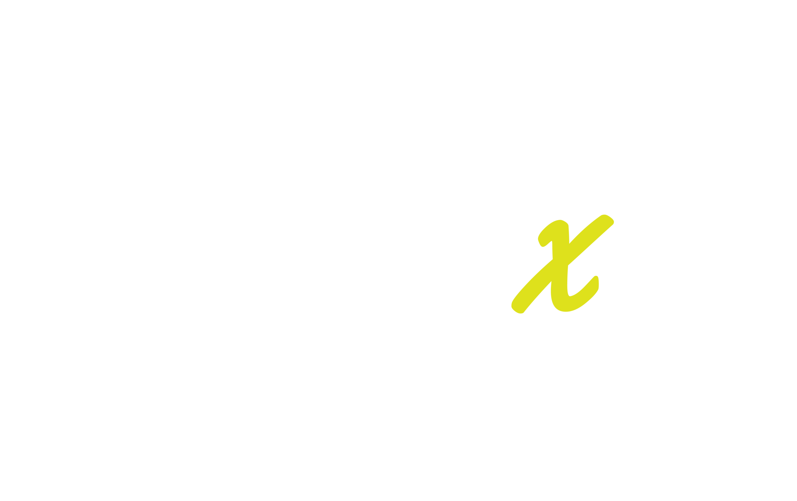PROxt - Digital Marketing Company